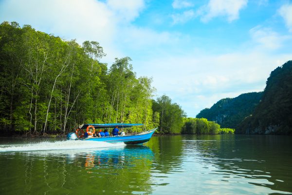 langkawi mangrove boat tour